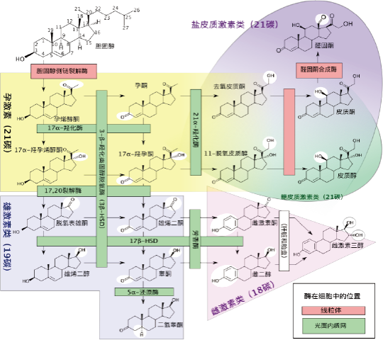 a8099-product_detail1_sec2_img1.png