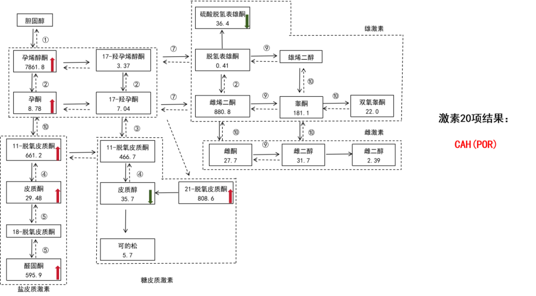 f9060-2.png