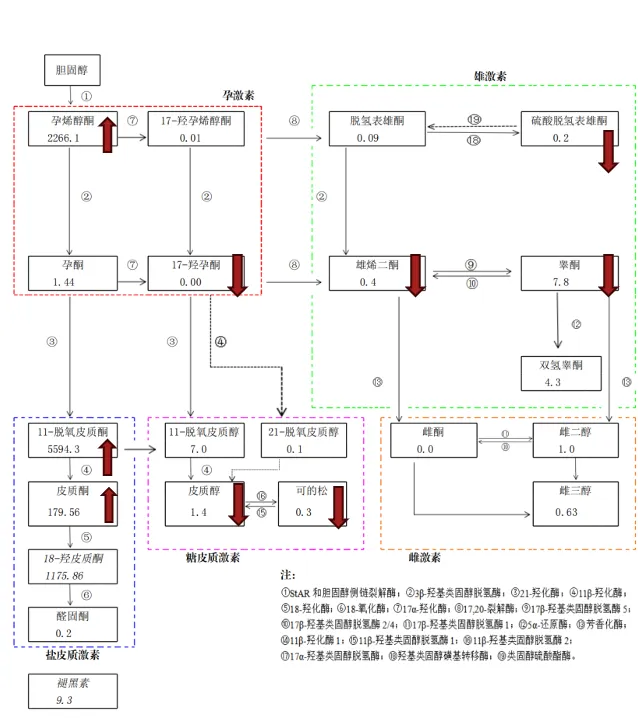 v6020-77.png